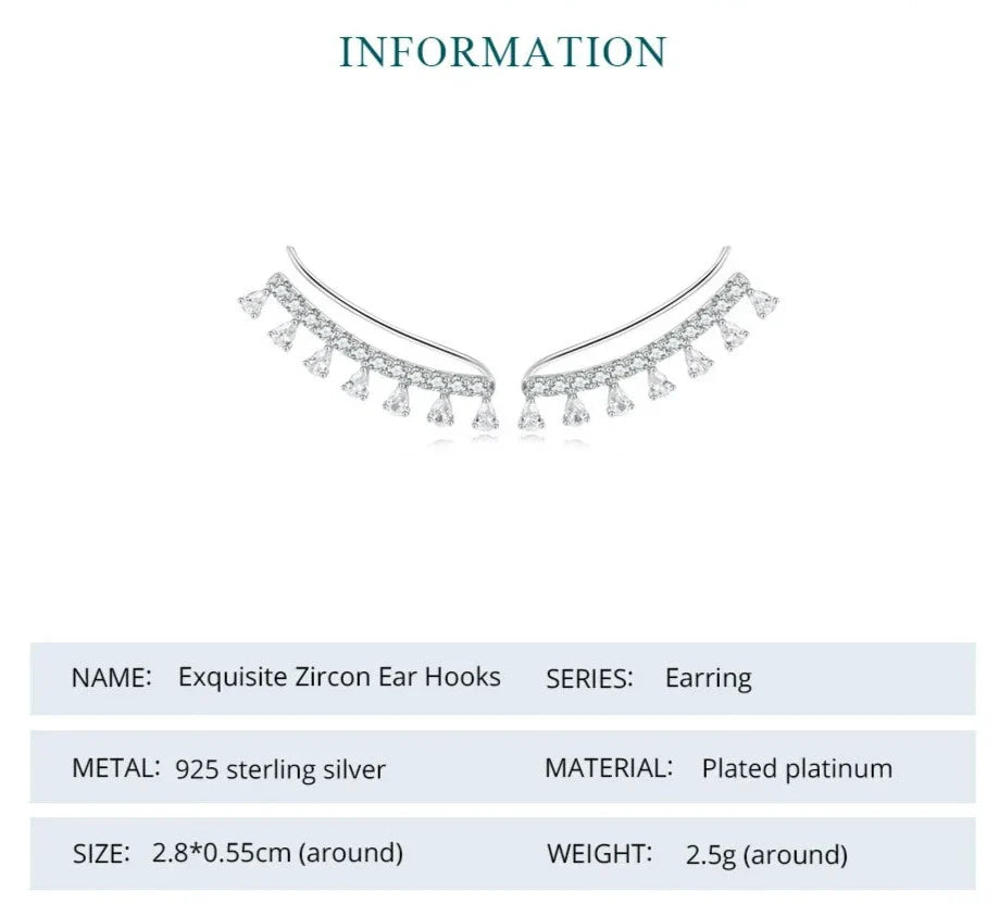 925 Sterling Silver Earrings